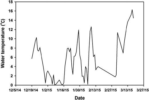 Daily temperatures (°C) recorded during the outdoor feeding trial with Coppernose Bluegill.