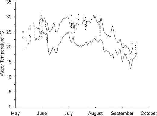 Scatterplot of water temperatures at smallmouth bass locations (diamonds; n = 182) compared with the maximum and minimum water temperatures (solid lines) recorded by temperature loggers at the upstream and downstream ends of the study forks.
