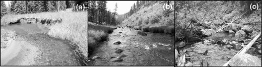 Channel types examined: (a) pool–riffle (Crane Creek), (b) plane bed (Camas Creek), and (c) step pool (Crawfish Creek) (from Faux et al. 2009).