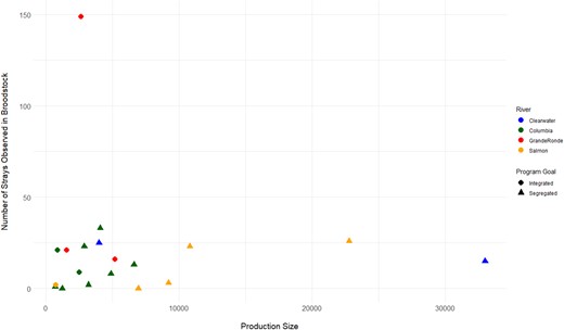 Production size of each hatchery (brood years combined) compared to the number of stray Chinook Salmon observed as part of the broodstock.
