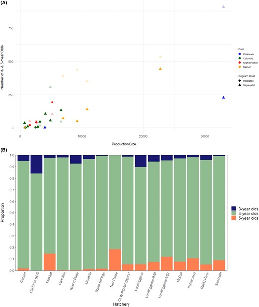 (A) Production size of each hatchery and the number of 3‐year‐old (dark shading) and 5‐year‐old (light shading) Chinook Salmon detected in a broodstock, with all brood years per hatchery program combined; and (B) proportion of each age‐class (3‐, 4‐, and 5‐year‐olds) among all brood years combined in each hatchery (Cle Elum SEG = Cle Elum Hatchery segregated program; CLW‐POWP‐DWOR = Clearwater Hatchery, Powell satellite facility, and Dworshak National Fish Hatchery). The three integrated programs (Methow Hatchery, Johnson Creek, and Cle Elum Hatchery integrated program) have been removed because only a small number of hatchery‐origin fish were identified with parentage‐based tagging and thus the proportions were not representative of the integrated broodstock as a whole. Samples from three of the Lookingglass Hatchery programs (Lookingglass Creek, Catherine Creek, and Grande Ronde River) are combined based on genetic structure analyses (labeled “Lookingglass”); the other two Lookingglass Hatchery programs are labeled separately (Lookingglass‐IMN = Imnaha River; Lookingglass‐LST = Lostine River).