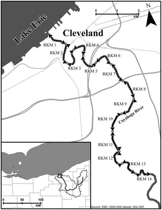 The Cuyahoga River, located in northeast Ohio, empties into Lake Erie in downtown Cleveland. River kilometer (RKM) start and end points are represented by dark triangles. Boat electrofishing surveys were conducted in RKM 9–14 during 2019; the shipping channel extends from RKM 1 to 9 (dashed lines).