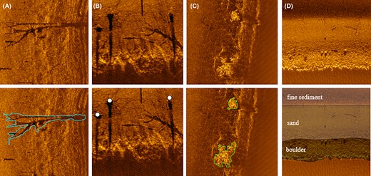 Examples of delineated habitat features: (A) submerged woody debris polygons, (B) standing timber points, (C) submerged aquatic vegetation polygons, and (D) benthic substrate polygons.