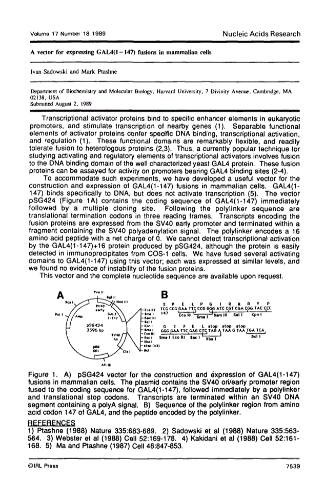 Article PDF first page preview