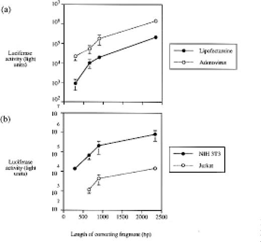 extrachromosomal recombination occurs efficiently in cells defective
