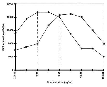 A Comparison between poly(I)·poly(C) and the R-RNA in the autophosphorylation of PKR. Poly(I)·poly(C) and the R-RNA transcript were added to protein kinase assays at the final concentrations indicated in the figure. Phosphoproteins were resolved by 7.5% SDS-PAGE and analyzed by autoradiography. Protein kinase assays (20 µl), containing purified PKR (0.5 ng), SDS-PAGE and autoradiography were carried out as described in Materials and Methods. The extent of phosphorylation of PKR was determined by scanning densitometry (OD 500 nm) of autoradiograms. One assay contained no added RNA and served as a control for PKR and for correction of background during scanning. Poly(I)·poly(C), ♦; R-RNA, ■.