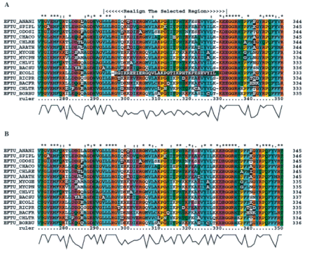 Detection and correction of misaligned segments with CLUSTAL X. (A) A set of EFTUs, tested for low scoring regions, highlights a part of the EFTU_ECOLI sequence (which we deliberately misaligned by incorrect gap insertion). The range selected to be realigned is marked above the alignment. (B) After removal of gaps and realignment of the selected residue range, the sequence EFTU_ECOLI is now correctly aligned, and the erroneous gaps have been removed. The low-scoring segment check, the column conservation indicators above the alignment, and the quality graph below it, all reflect the improvement in the alignment.