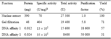 Purification of site N1 DNA binding activitya