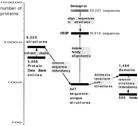  Flowchart of the processing of protein structures in PDB. The high redundancy of biological databases presents a number of problems in practical use. To overcome these problems, it is useful and essential to derive representative subsets and/or classify the data. Our structural classification starts from extracting all structures (chains) from the PDB (left). Based on all-on-all structure comparison, we define a representative set of structures which is free of sequence redundancy (middle bottom). Each structure is decomposed into domains (upper right). Folds are defined by clustering domains based on structural similarities. As a result, all known protein structures can be completely described in terms of 526 fold types (bottom right; the numbers refer to April 1997). The arrows in the middle column put the fold classification in context with the world of sequence analysis via the HSSP database of structure-sequence alignments ( 15 ). About one quarter of all sequences in the SWISS-PROT database ( 13 ) are clearly homologous to proteins of known structure. 