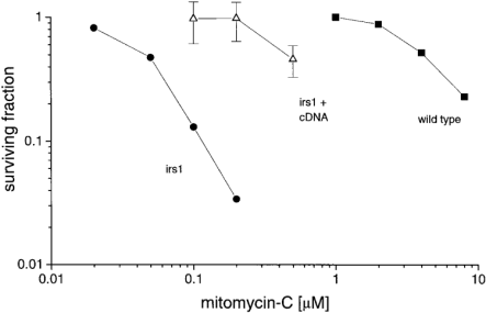  Survival of the XRCC2 -defective cell line ( irs1 ) and wild-type cells (V79 hamster), relative to several lines transfected with the human XRCC2 gene, following treatment with mitomycin C. The mean and SE of data found for five independent transfected lines and a pooled set of lines are shown. 