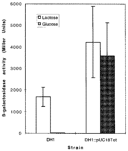 Derepression of the lac operon by repressor titration. Expression of β-galactosidase in E.coli DH1 in the presence and absence of pUC18Tet when grown under conditions of induction (supplemented with lactose) and repression (supplemented with glucose). Results are the mean of three independent experiments with the standard error displayed on error bars, and are expressed as activity units.