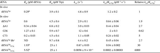 Aminoacylation kinetics for Trp in the presence of cognate and non-cognate tRNAs