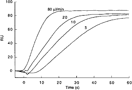 The effect of varying flow rate upon the observed association rate of p50 (20 nM) with 20 RU of Ig-κB-specific DNA.