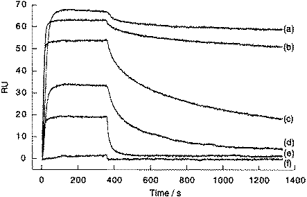 Sensorgrams of 20 nM NF-κB p50 binding in 75 mM (a and d), 100 mM (b and e) and 125 mM (c and f) KCl buffer to Ig-κB-specific DNA (a–c) and non-specific DNA (d–f). Data for 150 mM KCl buffer are omitted for clarity.