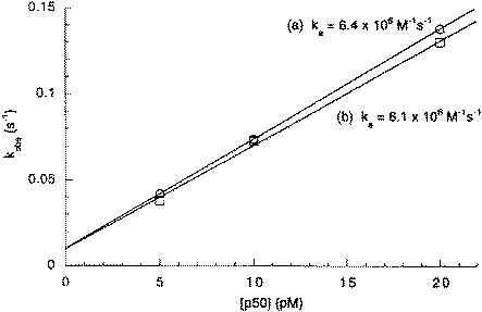 Plots of −kobs against C for the association data of NF-κB p50 binding to 20 RU of immobilised Ig-κB-specific DNA (a) and non-specific DNA (b) in running buffer containing 100 mM KCl. The gradient of the line is ka.