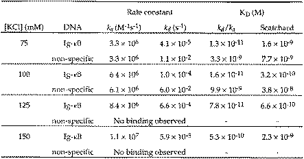 Kinetic constants (ka and kd) and calculated and measured dissociation constants (KD) for binding of p50 to Ig-κB and non-specific DNA