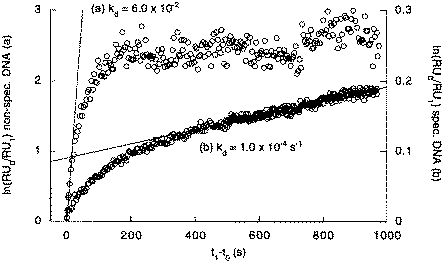 Plots of ln(R0/R1) against (t1 − t0) for the dissociation of 20 nM NF-κB p50 from non-specific DNA (a) and Ig-κB-specific DNA (b) in running buffer containing 100 mM KCl. Each fourth data point is shown.