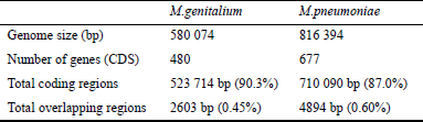 The genomes of M.genitalium and M.pneumoniae
