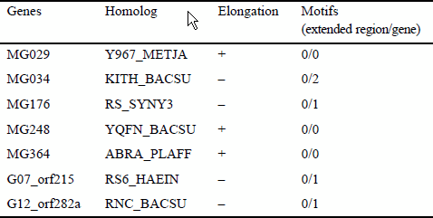 Comparison with other bacteria and motifs