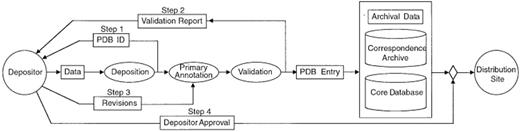 Figure 1. The steps in PDB data processing. Ellipses represent actions and rectangles define content.