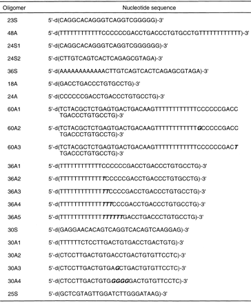 Table 1. Oligonucleotides used to prepare nuclease substrates