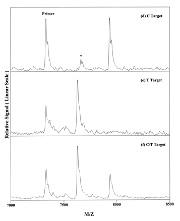 Figure 2. MALDI-TOF mass spectra of the results arising from genotyping the model systems. (a) A target; (b) G target; (c) A/G target; (d) C target; (e) T target; (f) C/T target. Note that the minor peaks labeled with an asterisk were due to unterminated products.