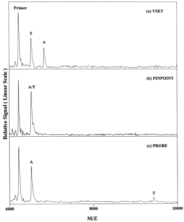 Figure 4. MALDI-TOF mass spectra of the results arising from genotyping an individual of A/T heterozygote using (a) VSET; (b) PINPOINT; and (c) PROBE, respectively.