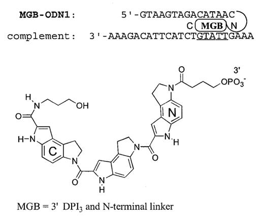 Figure 1. Structure of the DNA duplex formed with MGB-ODN1 and a 23mer complement. Effects of mismatched bases on stability of this duplex are shown in Figure 2. The putative MGB site is underlined in the complement. C→N polarity of the DPI3 peptide and structure of the N-terminal linker are shown below.