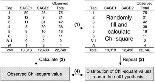 图1。用于检测SAGE数据亚群之间总体差异的蒙特卡罗模拟过程的描述。保持行和列总计不变，将随机生成一个新的数据表，并计算奇方值（步骤1）。此过程重复200次，以在无差异的零假设下生成齐方值的分布（步骤2）。然后，根据实际数据（步骤3）计算观察到的齐方值，并与零假设下的齐方值分布进行比较（步骤4）。零分布表示偶然出现的奇方值，假设两个总体之间没有差异。将观测到的卡方值与零分布进行比较，可以让我们了解两个亚群体之间的总体差异。