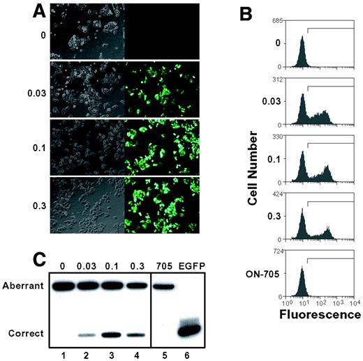 Figure 2. Restoration of EGFP expression by anti-654 oligomer 1 delivered with lipofectamine. Cells treated with increasing concentrations of the oligomer were analyzed by fluorescence microscopy (A) and FACS analysis (B). (A) Phase contrast (left) and UV (right) images are shown. (B) Histogram plots represent EGFP fluorescence intensity versus cell number. The line in each panel represents the gate set to include 2.5% of brightest fluorescent control cells as background. Concentrations (in µM) of oligomer 1 are indicated on the left. Control oligomer 7 is shown at the highest concentration tested (3 µM). The same designations are used in subsequent histograms. (C) RT–PCR of total RNA from cells treated with 1 (lanes 1–4). Oligomer concentration (µM) is indicated at the top. Lane 5, 0.1 µM control oligomer 7; lane 6, PCR product of EGFP cDNA as size marker. The upper and lower bands represent RT–PCR products of aberrantly and correctly spliced EGFP-654 mRNA, respectively.