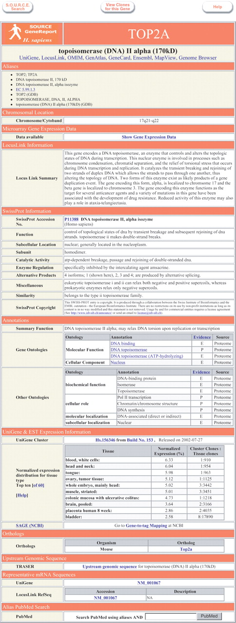 Figure 1. SOURCE GeneReport for topoisomerase II alpha (TOP2A). This screenshot depicts an example human GeneReport. Data included for this particular gene include a link to SOURCE CloneReports for ESTs mapping to TOP2A, links to outside databases such as LocusLink and the UCSC Genome Browser, aliases, chromosomal location, a link to SOURCE's microarray gene expression data, the LocusLink descriptive summary, SwissProt functional information, GeneOntology annotations, virtual northern EST expression data, a link to the SOURCE GeneReport for the mouse ortholog of TOP2A, a link to TRASER for upstream sequence retrieval, representative GenBank mRNA accession numbers, and a form for formatting boolean PubMed queries using all of TOP2A's aliases.
