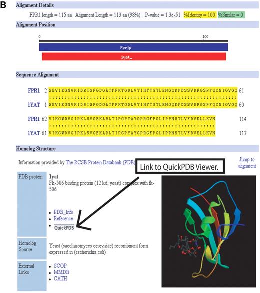 Figure 1. (Following page) Protein structure information at SGD: the new PDB Homologs tool. Due to space considerations, both ( A ) and ( B ) are just a portion of the web display. (A) The PDB Homologs results page lists the results of the Smith–Waterman sequence comparison of a S. cerevisiae protein against the proteins in PDB. Links are provided to the PDB and other external protein structure databases, as well as the alignment page shown in B. In this example, Fpr1p results are shown. A structure of the S. cerevisiae was identified (first row in the table), as well as additional structures of the Bos taurus homolog. Additional homologs were found but are not shown. This page can be reached from the ‘Protein Info and Structure’ pull-down menu on Locus and Protein Information pages. (B) The PDB Alignment page displays the alignment of the S. cerevisiae protein and the PDB protein, a color ribbon image of the structure (provided by PDB), and links to other databases and tools such as the interactive structural viewer QuickPDB provided by the PDB. 