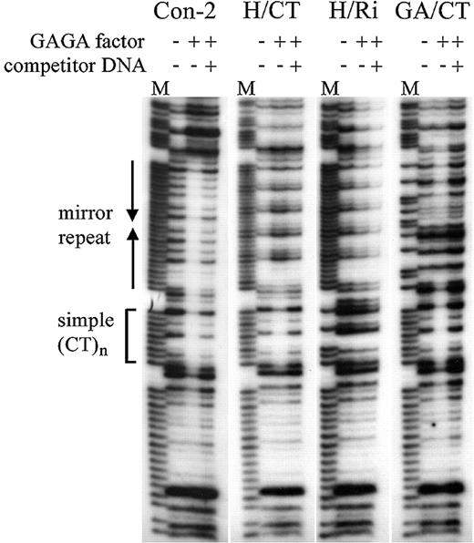 Figure 5. GAGA factor binding to altered hsp26 sequences. DNase I footprinting experiments were performed in the absence or presence of recombinant GAGA factor, with or without specific competitor DNA for GAGA factor binding. Simple (CT)n is a 9 bp sequence that does not form H‐DNA. M, Maxam–Gilbert sequencing markers for the purine strand.