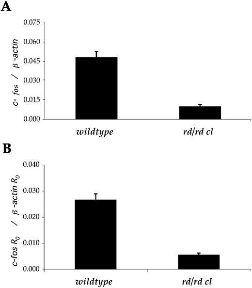 Figure 2. Comparison of absolute and relative approaches to quantifying expression of c‐fos in the eyes of wild‐type and retinally degenerate (rd/rd cl) mice. (A) Absolute quantification, plotted as copies of c‐fos normalised to copies of β‐actin as determined from plasmid standard curves. (B) Relative quantitation expressed as c‐fosR0 normalised to β‐actin R0. Mean efficiency was derived from amplification plots without the use of a standard curve.