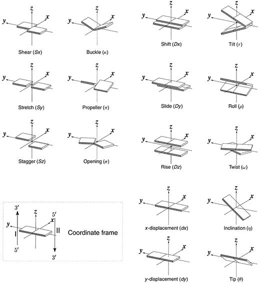 Figure 1. Pictorial definitions of rigid body parameters used to describe the geometry of complementary (or non‐complementary) base pairs and sequential base pair steps (19). The base pair reference frame (lower left) is constructed such that the x‐axis points away from the (shaded) minor groove edge of a base or base pair and the y‐axis points toward the sequence strand (I). The relative position and orientation of successive base pair planes are described with respect to both a dimer reference frame (upper right) and a local helical frame (lower right). Images illustrate positive values of the designated parameters. For illustration purposes, helical twist (Ωh) is the same as Twist (ω), formerly denoted by Ω (19,20) and helical rise (h) is the same as Rise (Dz).