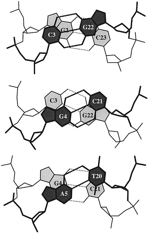 Figure 6. ‘Standardized’ base stacking diagrams of three consecutive dimer steps of the 1.4 Å B DNA structure, d(CGCGAATTCGCG)2 (NDB_ID: bdl084) (87).