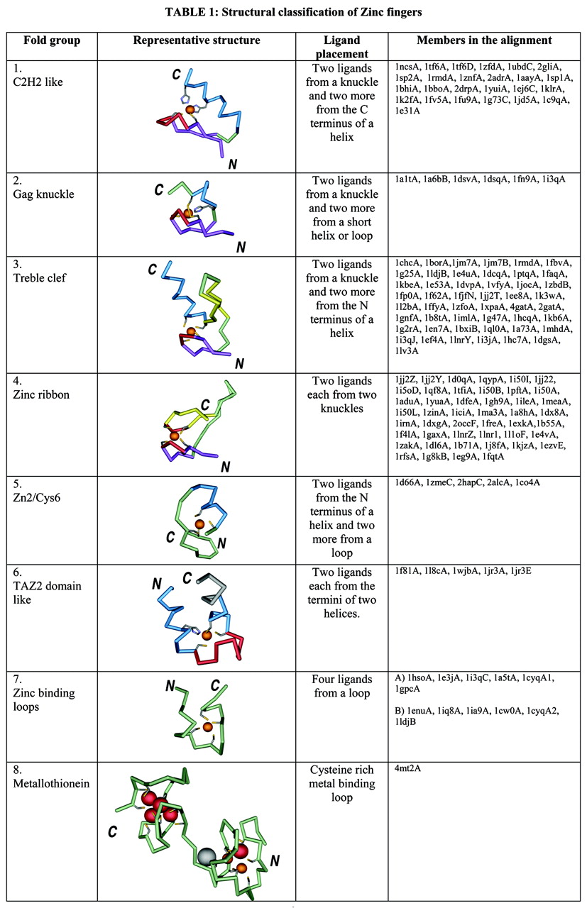 american schools essay format