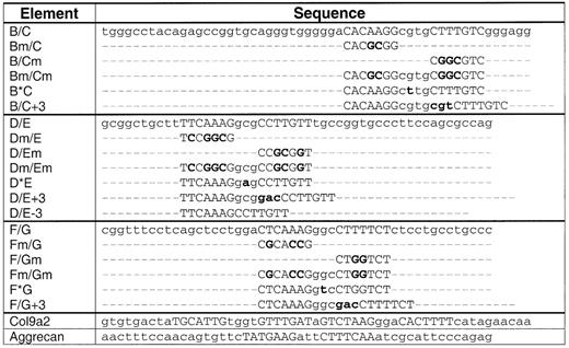 Sequences of elements tested for enhancer activity