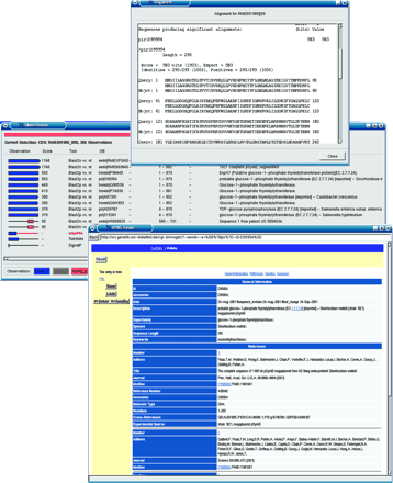 Figure 6. The observations, a single BLAST report and the underlying database record (via SRS) for a CDS region as shown by GenDB. The user can create a manual annotation by clicking on an observation.