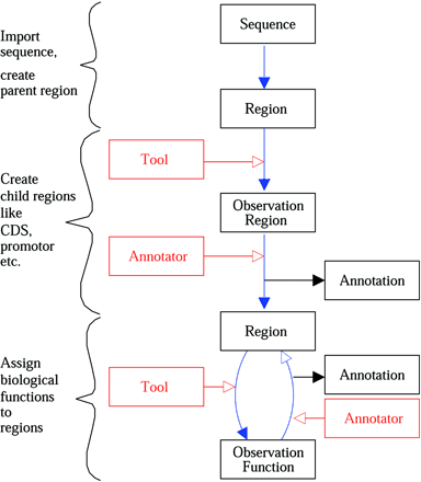 Figure 8. A sample genome analysis pipeline implemented with GenDB.