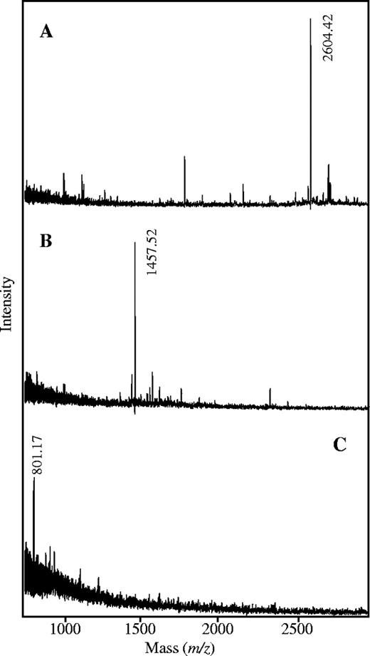 MALDI-TOF mass spectra of the dU-containing peptides obtained after elution of the proteolytic peptide–DNA heteroconjugates from the Fe3+-IMAC column and after HF treatment. Signals correspond to protonated pseudomolecular ions [M + H]+ of the tryptic peptide dU-TYVIETNYYNSGGSKLNEVAR at m/z 2604.42 (A), the tryptic/chymotryptic peptide dU-NSGGSKLNEVAR at m/z 1457.52 (B) and the peptide dU-GGSKLN at m/z 801.17 resulting from digestion with proteinase K (C).