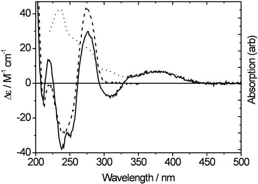CD of the duplex of CA(NMR). DNA oligomer containing one tC/strand (solid) and only normal DNA bases (dashed). Also included is an absorption spectrum of KtC (dotted). Measurements were performed in a phosphate buffer (50 mM Na+, pH 7.5) at 25°C. The concentration of the duplex in CD experiments was 2.35 μM. M on Δε-axis refers to total concentration of single strands (4.7 µM).
