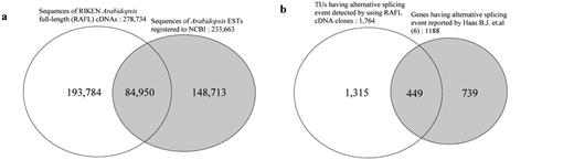 Comparison of sequencing resources and detected alternative splicing events between this work and previous work. (a) A.thaliana cDNA sequence resources used in our analysis (in December 2003), (b) Venne diagram of the genes with alternative splicing events detected in this work and in previous work by Hass et al. (6).