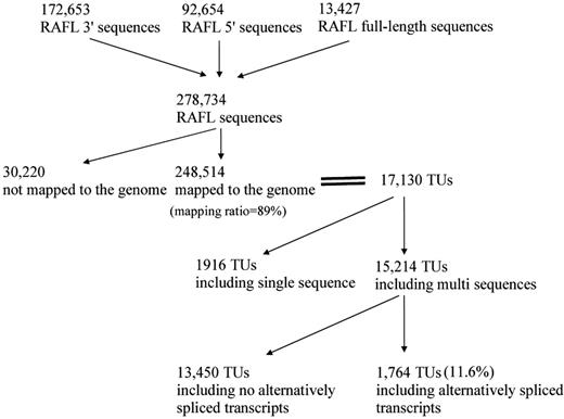 Data flow of clustering for the analysis of alternative splicing events in RAFL sequences.