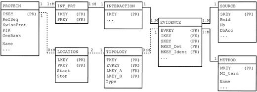 Figure 1. A simplified entity‐relationship diagram showing the key tables (rectangles) and relations (lines) of the DIP database. Dashed lines represent relationships that are used to describe the topology of protein complexes. PK, primary keys; FK, foreign keys. The full specification of the database is available at http://dip.doe‐mbi.ucla.edu/Guide.cgi . 