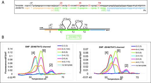 Analysis of β2AR haplotypes 2, 4 and 6 by melting curves of three SNPs simultaneously. (A) Representation of sequences and probes is similar to Figure 1. Note that the complex probe −20/+46/+79 is labeled with FITC at both extremities. (B) Derivative melting curves obtained by analysis of the SNP −20/+46/+79 probe. The left graph corresponds to the melting analysis in the F2 channel, the right graph to the melting analysis in the F3 channel.