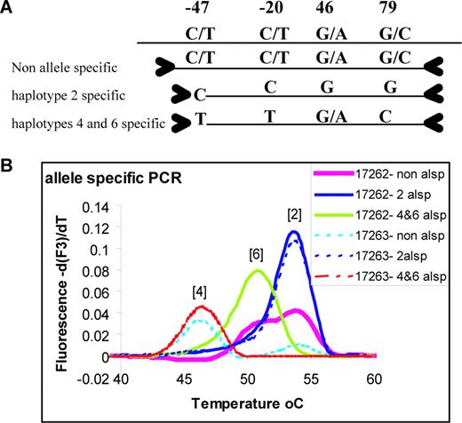 Haplotyping with an allele-specific strategy. (A) The design of the experiment is presented. The three PCRs are represented under the map of the relevant section of the β2AR gene. Primers are indicated with thick arrows. The non-allele-specific PCRs amplify both alleles. The haplotype 2-specific forward primer ends in C in 3′ and amplifies only haplotype 2 templates. The haplotype 4- and 6-specific primer amplify both haplotypes. (B) An example of allele-specific analysis by melting curve is shown. The samples are from Coriell's Caucasian DNA panel.