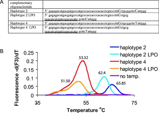 Melting analysis of oligonucleotides. (A) Sequence of the oligonucleotides used as template with the SNP 46/+79 probe. SNPs specific for the haplotypes are indicated with capital letters. The sequence absent in the probe is underlined. LPO stands for ‘loop out’. (B) Derivative melting curves of the oligonucleotide series. Tms are indicated above each curve.