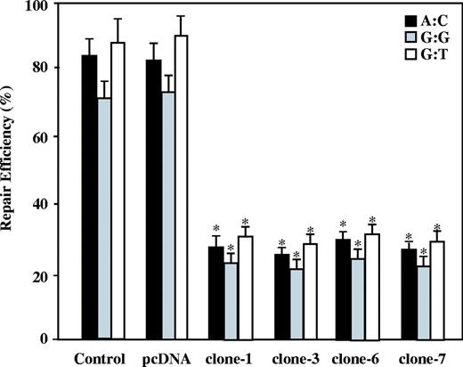 Mismatch repair efficiency in the APE-expressing cells. The nuclear extracts of the parental cells (control), the empty vector transfected cells (pcDNA) and the APE expressing GM00637 cells (clones-1, -3, -6 and -7) were compared in terms of the A:C (in black), G:G (in gray) and G:T (in white) MMR efficiencies. The results are based on counting 500–1000 plaques per variable. The repair efficiency was calculated as the percentage of decrease in the mixed-color colonies. The values are a mean ± SD from three separate experiments. Asterisk denotes P < 0.05.
