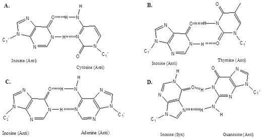 The proposed inosine-Watson–Crick configurations (5–7).